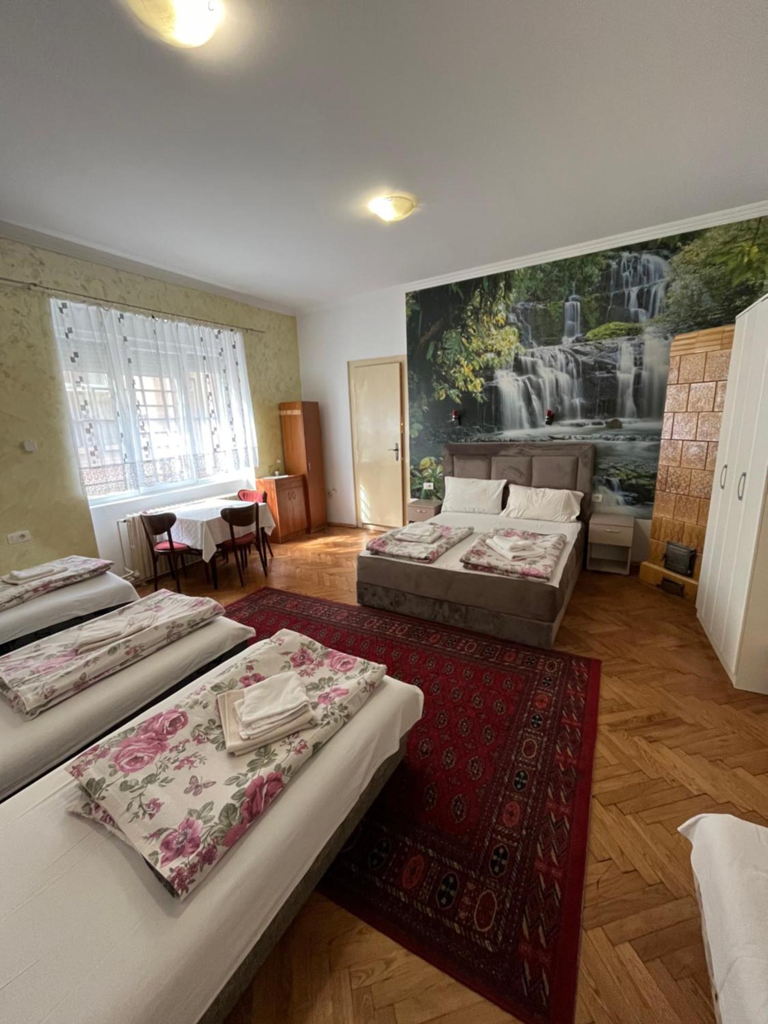 Sobe Sa Sopstvenim Kupatilom Private Rooms Bathroom In Center Novi Sad Eksteriør bilde